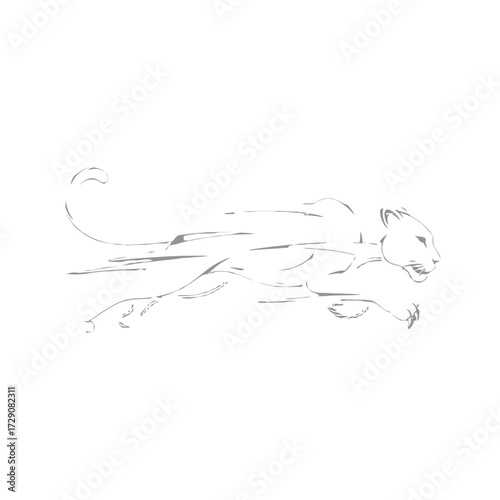 A stylized sketch of a black panther in mid-stride, rendered with dynamic, flowing lines.