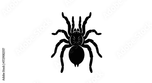 A stark black silhouette of a tarantula spider, viewed from a top-down perspective against a clean white background.
