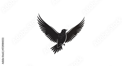 A black bird with its wings spread wide, flying against a white background.