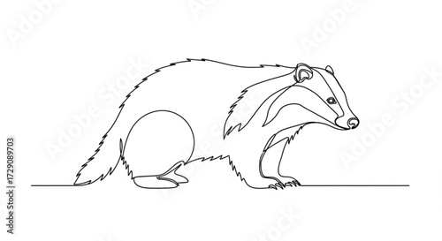 Line art illustration of a badger in a crouching position, showcasing its distinctive features and contours, emphasizing the beauty of wildlife through minimalistic design	