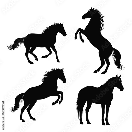 Dynamic horse silhouettes four poses majestic equine forms graceful animal art collection silhouette
