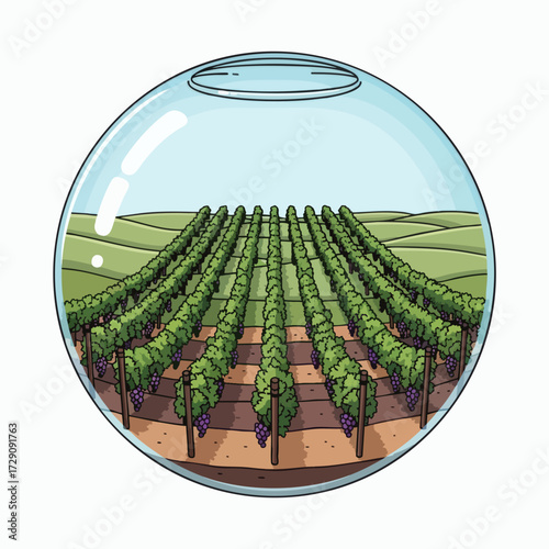 Vineyard in a Glass Sphere.