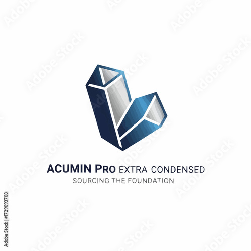 company logo design