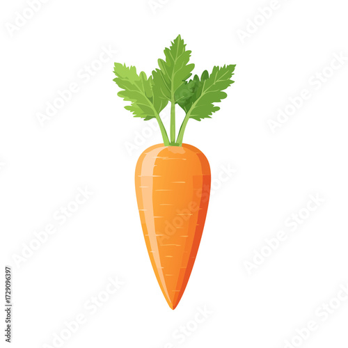 Carrot Vegetable Food Icon Isolated on a Transparent Background 