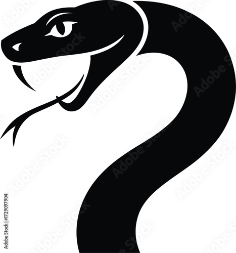 Black snake head striking with forked tongue serpent