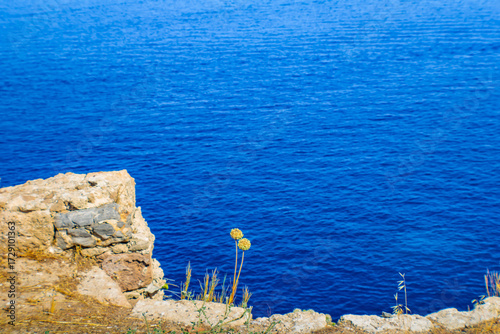 The Acropolis of Lindos rocks and a small yellow flower on a sea background, Rhodes,  Greece