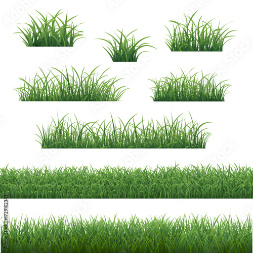 Grass Border Isolated White Background