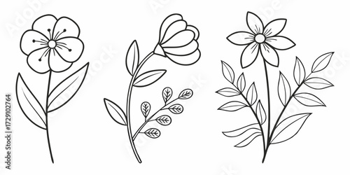 Delicate line art floral elements perfect for creating beautiful botanical designs, invitations, and natural themes