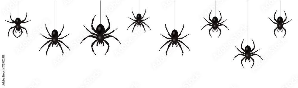 Obraz premium Spider Border With Isolation White Background