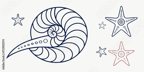 Captivating nautilus shell and starfish collection evokes ocean wonder and natural beauty for marine-themed designs
