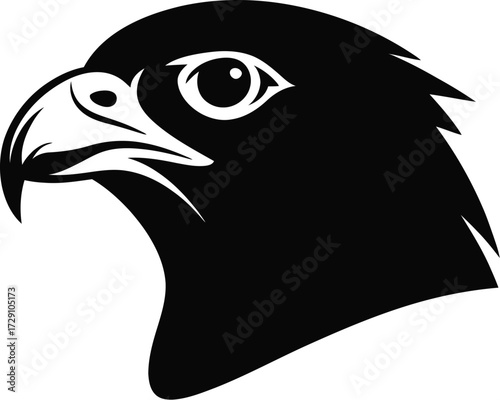 Black hawk head profile bird