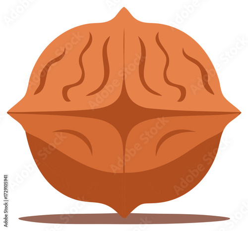 Illustration of a Single Walnut with the Shell Still On, Side View Isolated on White, Simple Cartoon, Isolated