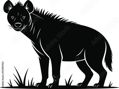 Black hyena standing in grass animal wild