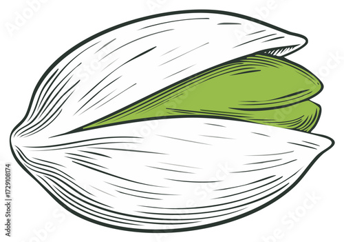 Open Pistachio Nut with Vibrant Green Kernels Illustration