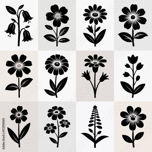 Collection of fifteen individual vector floral illustrations scalable graphics silhouette white background