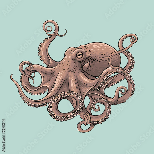 An illustration of a large brown octopus on a light blue background.
