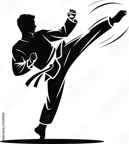 Martial artist performing high kick karate martial arts