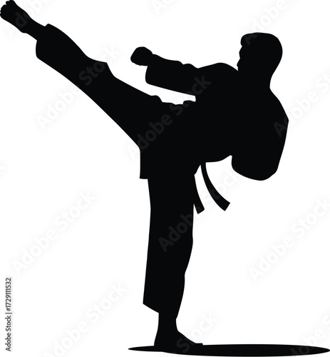 Martial artist performing high kick martial arts karate