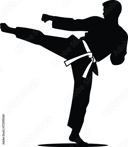 Black silhouette martial artist kicking martial arts