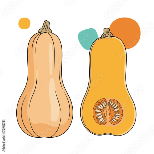 Butternut squash a versatile and nutritious winter squash.