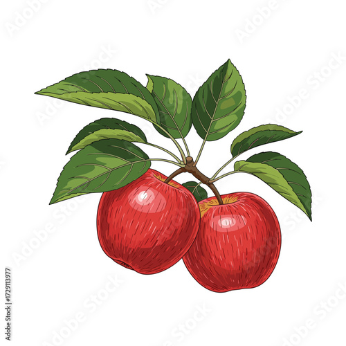 Two red apples growing on a branch with green leaves.