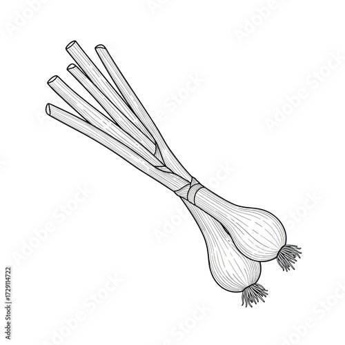 A bundle of fresh green onions ready for culinary use.
