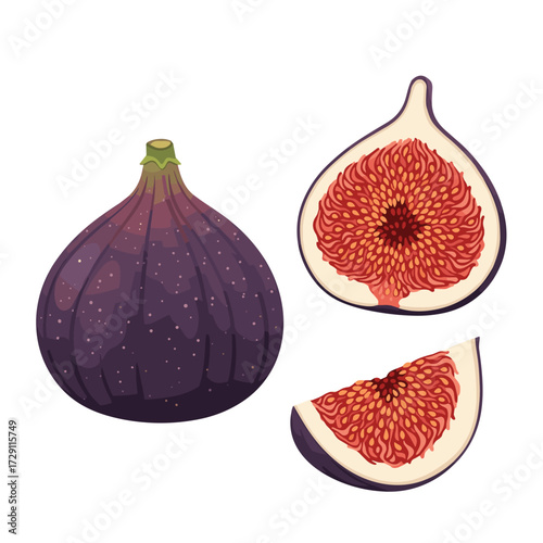 Fresh ripe purple figs whole and sliced on a white background.
