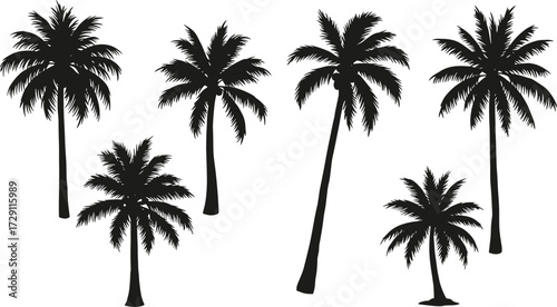 Palm tree silhouette collection, tropical coconut palm vector set, black beach trees illustration for paradise, summer, holiday, jungle, island decor.
