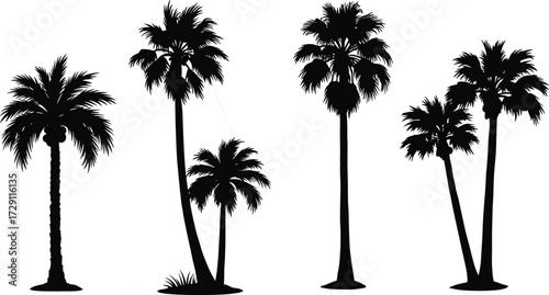 Palm tree silhouettes set, tropical coconut palm black vector pack, exotic beach trees illustration for summer, island, paradise, jungle decoration.