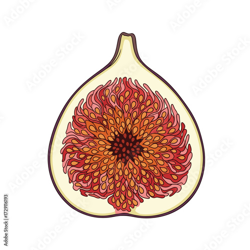 A close up cross section of a ripe sweet fig fruit revealing its juicy interior.