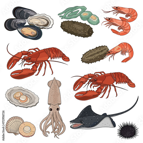 A diverse collection of various seafood and marine life items.
