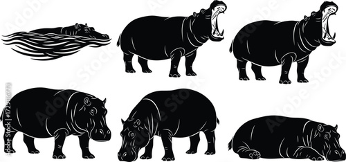 Set of hippopotamus silhouettes in different poses, swimming, walking, yawning, grazing, resting, wild animal vector illustration isolated on white