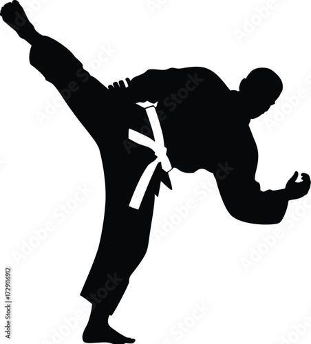 Martial artist performing high kick martial arts karate