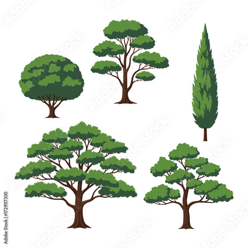 A collection of five distinct trees in a variety of shapes and sizes.