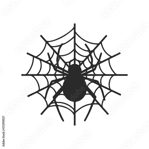 Black spider silhouette on intricate web design against white background