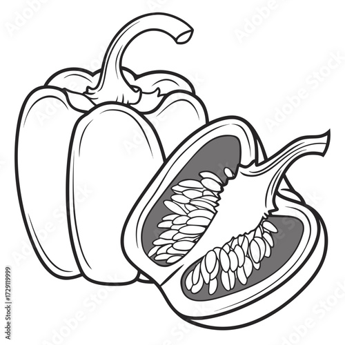 A black and white illustration of a whole bell pepper and a cross section of another bell pepper showing its seeds and inner structure