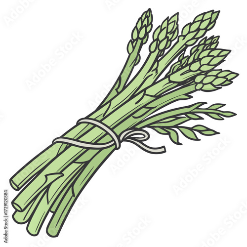 A fresh bunch of vibrant green asparagus spears tied together with a simple white string presented on a clean white background perfect for healthy eating and culinary themes