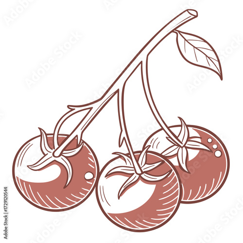 A simple line drawing illustration of three ripe red cherry tomatoes still attached to their vine with a single green leaf isolated on a white background
