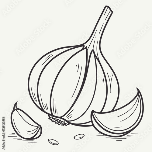 A striking hand drawn illustration of a whole garlic bulb with several peeled cloves and small seeds scattered around on a light background