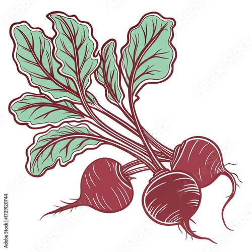 A stylized illustration of three ripe red beets with vibrant green leaves and thin roots presented on a clean white background showcasing a healthy root vegetable