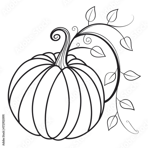 Artistic black and white line drawing of a plump pumpkin with a swirling vine and delicate leaves perfect for fall decorations and seasonal designs