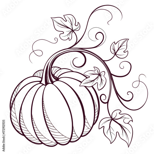 Elegant hand drawn outline of a pumpkin with swirling vines and autumn leaves in a decorative border design