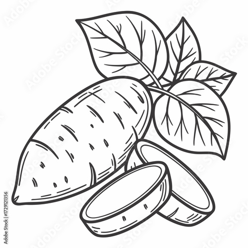 Hand drawn illustration of a whole sweet potato with leaves and two sliced pieces on a white background black and white line art drawing of a root vegetable