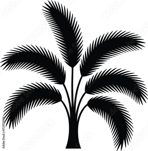 Black palm tree silhouette vector foliage