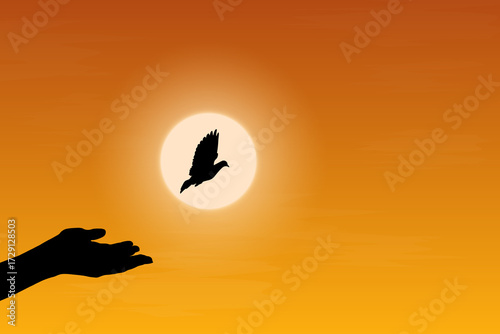 Symbolizing freedom and hope, a bird soars into a golden sunset. Perfect for projects about nature, independence, inspiration, and tranquillity, the beauty and peace of limitless possibilities.