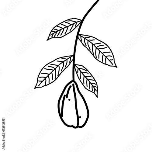 Hand-drawn fruit with leafy branch in simple line art style. Great for botanical illustrations, farm designs, or organic product branding.