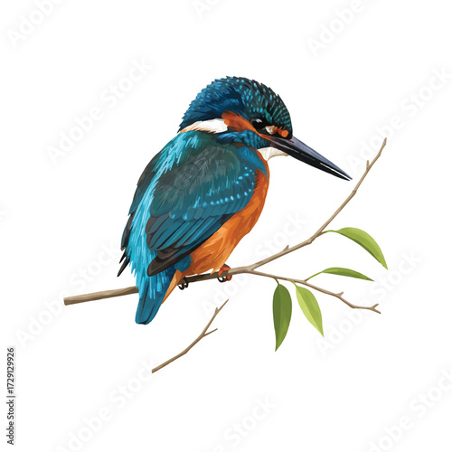 A realistic and flat 2D vector illustration beautifully captures the vibrant colors of a kingfisher bird, isolated on a clean white background, showcasing its natural beauty.