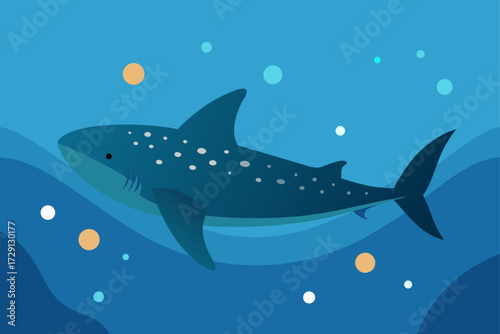 shark in the sea