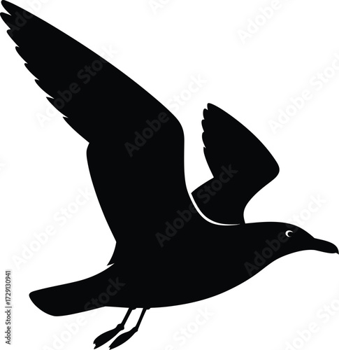 Black silhouette of a flying seagull bird wings