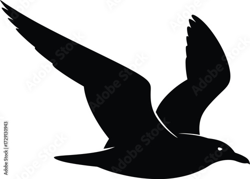 Black silhouette of a flying bird white